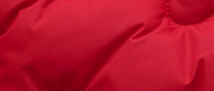 Descendit Jacket Text